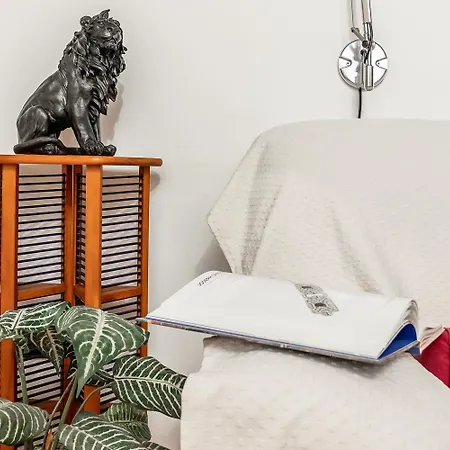 Spacious With Kitchenette, Near Piazza Maggiore Apartment