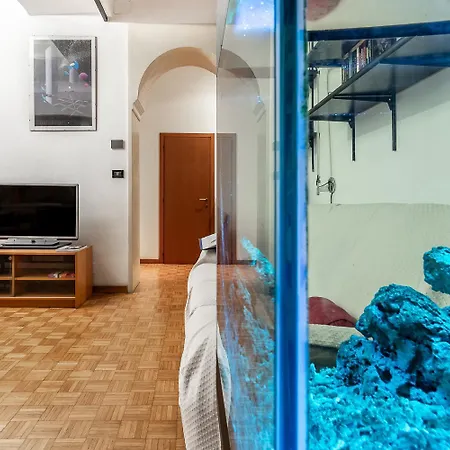 Spacious With Kitchenette, Near Piazza Maggiore Bolonya